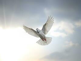 AI generated White pigeon or dove flying in cloudy sky photo