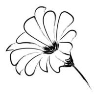 Flower Drawing for print or use as poster vector