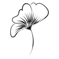 Flower Drawing for print or use as poster vector