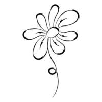 Flower Drawing for print or use as poster vector