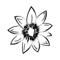 Flower Drawing for print or use as poster vector