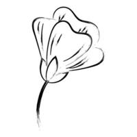 Flower Drawing for print or use as poster vector