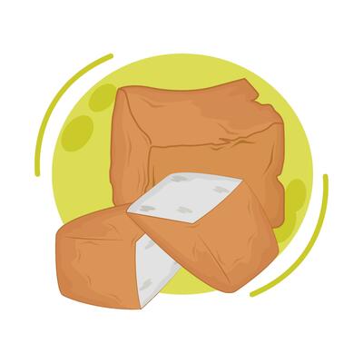 illustration of fried tofu