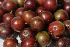 frutos rojos sobre fondo de madera. flacourtia inermis, conocida comúnmente como lovi-lovi. foto