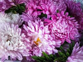 rosado y púrpura ásteres en un ramo de flores en un blanco antecedentes foto