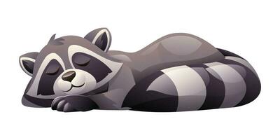 Cartoon raccoon sleeping. Vector illustration isolated on white background
