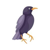 Cartoon flat illustration of thrush bird vector