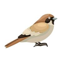 Cartoon flat illustration of sitting sparrow bird vector