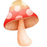 das Erntedankfest Herbst Elemente, Pilz Aquarell lebendig bunt Charakter süß png