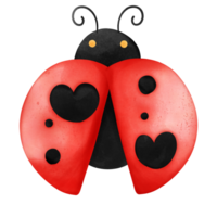 contento coccinella con cuore simboleggiante amore su San Valentino giorno nel un' carino cartone animato illustrazione png