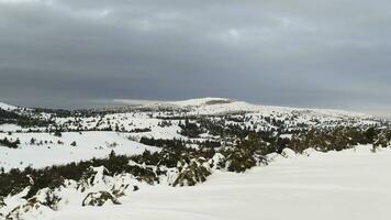 Aerial from the top of snowy mountain pines in the middle of the winter. Shot. Rich winter spirit photo