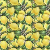 Lemons are yellow, juicy, ripe with green leaves, flower buds on the branches, whole and slices. Watercolor, hand drawn botanical illustration. Seamless pattern on a white background vector EPS