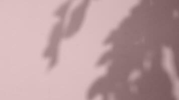 resumen gris oscuridad de superposición natural hojas otoño en el pared con ligero Bokeh. movimiento de hojas con natural oscuridad en rosado antecedentes. fondo y Bosquejo video