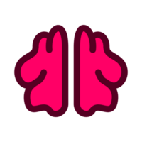 menselijk brein. anatomie van intern organen. png