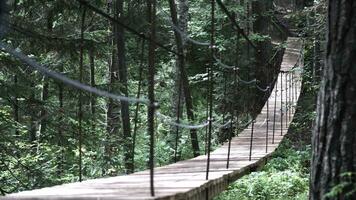 A suspension bridge on hiking trail through green dense forest with a man traveler with red backpack. Stock footage. Rear view of a man crossing the hanging bridge. photo