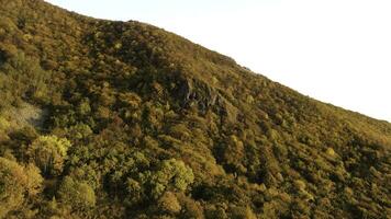 Aerial view of colorful woods covering mountain slope, fall. Footage. Stunning autumn landscape with a steep hill and bright yellow and orange trees in sunset. photo