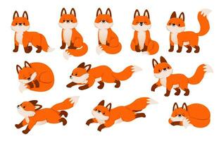 Red fox characters. Cartoon cute foxes in different poses, standing, sleeping, jumping, sitting. Forest wild animal isolated on white background. Vector set