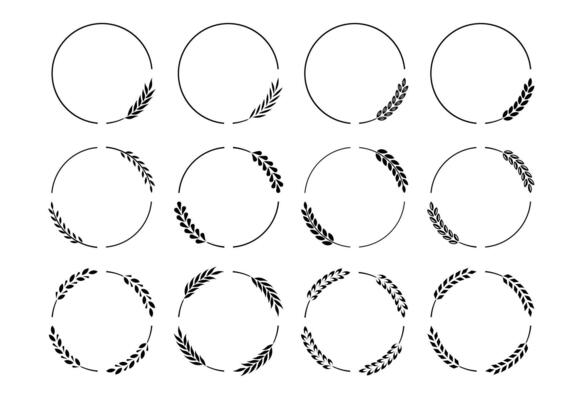 Laurel branches frames. Vintage laurel wreath round frame borders with bay leaves, ornate award, wedding invitation decorative floral elements. Isolated vector set