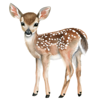 Baby cute deer watercolor illustration, AI generated. png