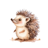 Baby hedgehog watercolor for decorative, AI generated. png