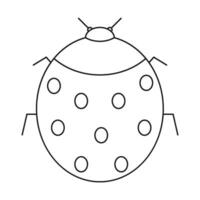 ladybug icon vector