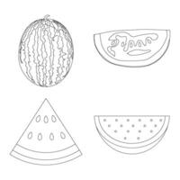 watermelon icon vector illustration design