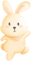 Coelho em pé e dançando png