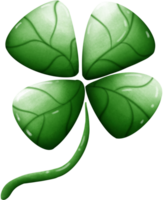 clover leaf good luck png