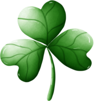 clover leaf good luck png