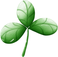 clover leaf good luck png