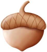 dark brown acorn png