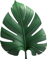 AI generated tropical leaves and palm leaves on a transparent background png