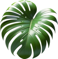 AI generated tropical leaves and palm leaves on a transparent background png