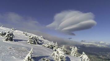 fantástico invierno paisaje de alto montaña y Nevado bosque en nublado, azul cielo antecedentes. disparo. soleado día en blanco, invierno rocas y arboles cubierto con nieve en contra brillante cielo. foto