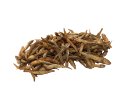 fritte pesce acquarello png