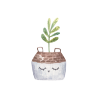 home flower with a twig in a flowerpot with a cute face and eyes, childrens watercolor illustration on a isolated background png