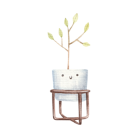 home flower with a twig in a flowerpot with a cute face and eyes, childrens watercolor illustration on a isolated background png