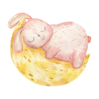 little animal sleep on moon png