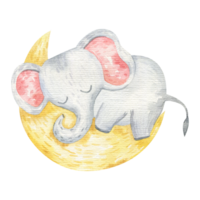 poco animale dormire su Luna png