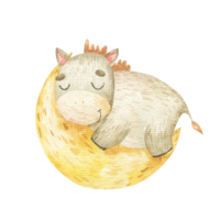 little animal sleep on moon png