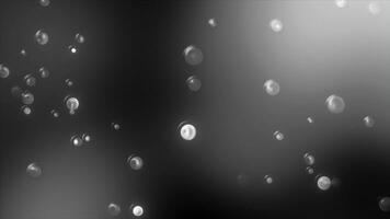 Abstract falling raindrops on a grey background. Motion. Monochrome backdrop with appearing round water drops. photo