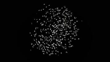 Many white particles moving chaotically with different speed on black background, seamless loop. Animation. Tiny spheres forming a circle, monochrome. photo