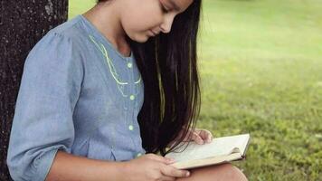 retrato. un hermosa pequeño niña con largo negro pelo y en un azul vestir leyendo un libro sentado debajo un árbol en el césped trae el libro a su cofre y Sueños de sonriente en un soleado verano día video