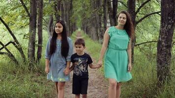 Happy beautiful mother with her daughter and son walking in the park holding hands smiling and enjoying nature on a summer sunny day video