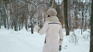 schön jung Frau im ein Licht Nieder Jacke ist Spinnen im ein schneebedeckt Park suchen oben und freut sich video