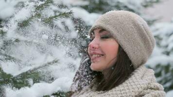 un' giovane attraente ragazza è screpolatura un' ramo a partire dal il neve e sorridente meravigliosamente a il telecamera. lento movimento video