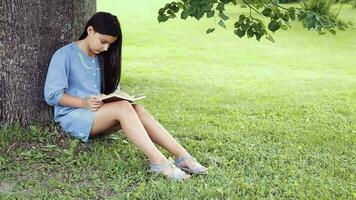 un' bellissimo poco ragazza con lungo nero capelli e nel un' blu vestito lettura un' libro seduta sotto un' albero su il erba su un' soleggiato estate giorno. video