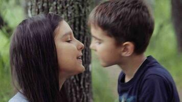 retrato. uma pequeno irmão e irmã admirando cada de outros se beijando e abraçando amoroso cada de outros dentro a parque em uma verão ensolarado dia video