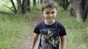 Portrait. A happy beautiful little boy is walking through the woods smiling and enjoying nature on a summer sunny day. Walk in the park. Happy Childhood video