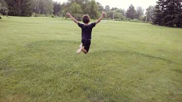 A little happy boy runs quickly across the grass bouncing in a happy mood. On a summer sunny day video